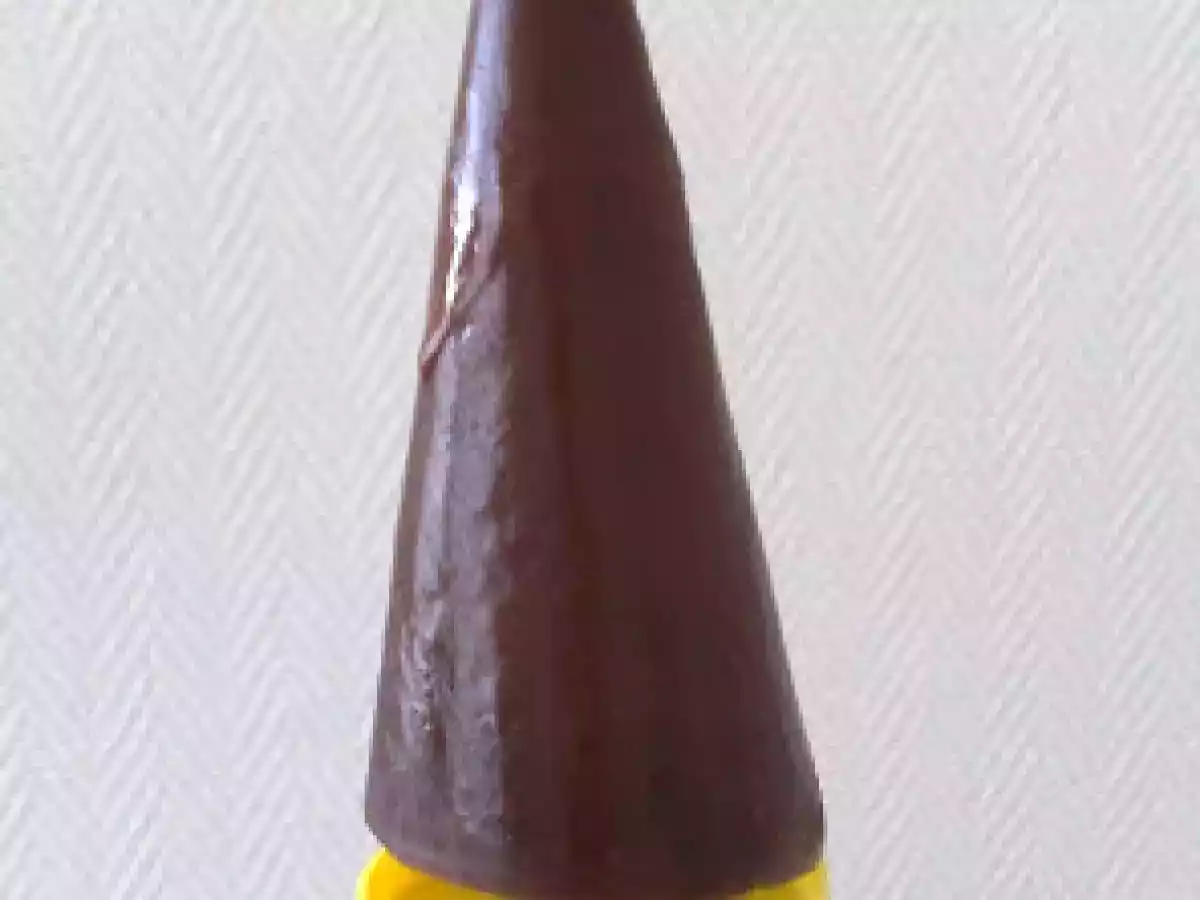 Bâtonnets glacés au chocolat