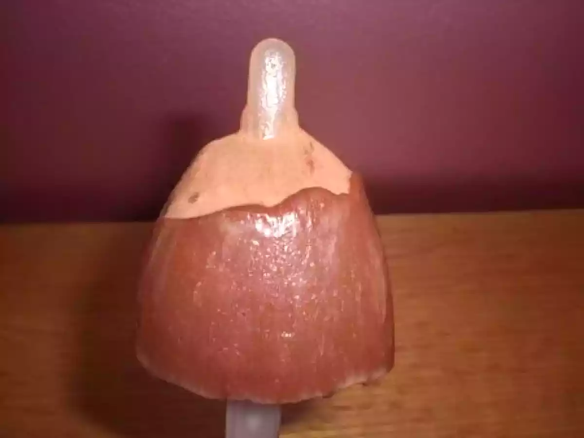 BATONNETS GLACES AU CHOCOLAT NOIR - photo 3