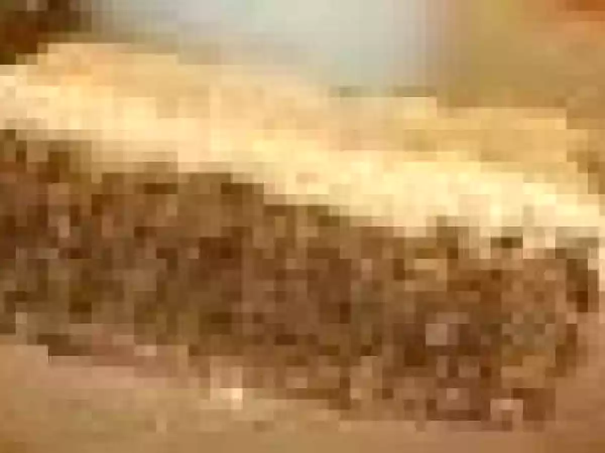 Bâtonnets glacés aux noix‏