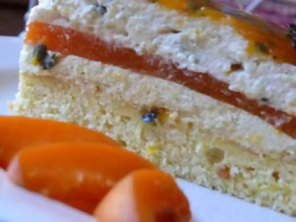 Bavarois abricot passion - photo 2