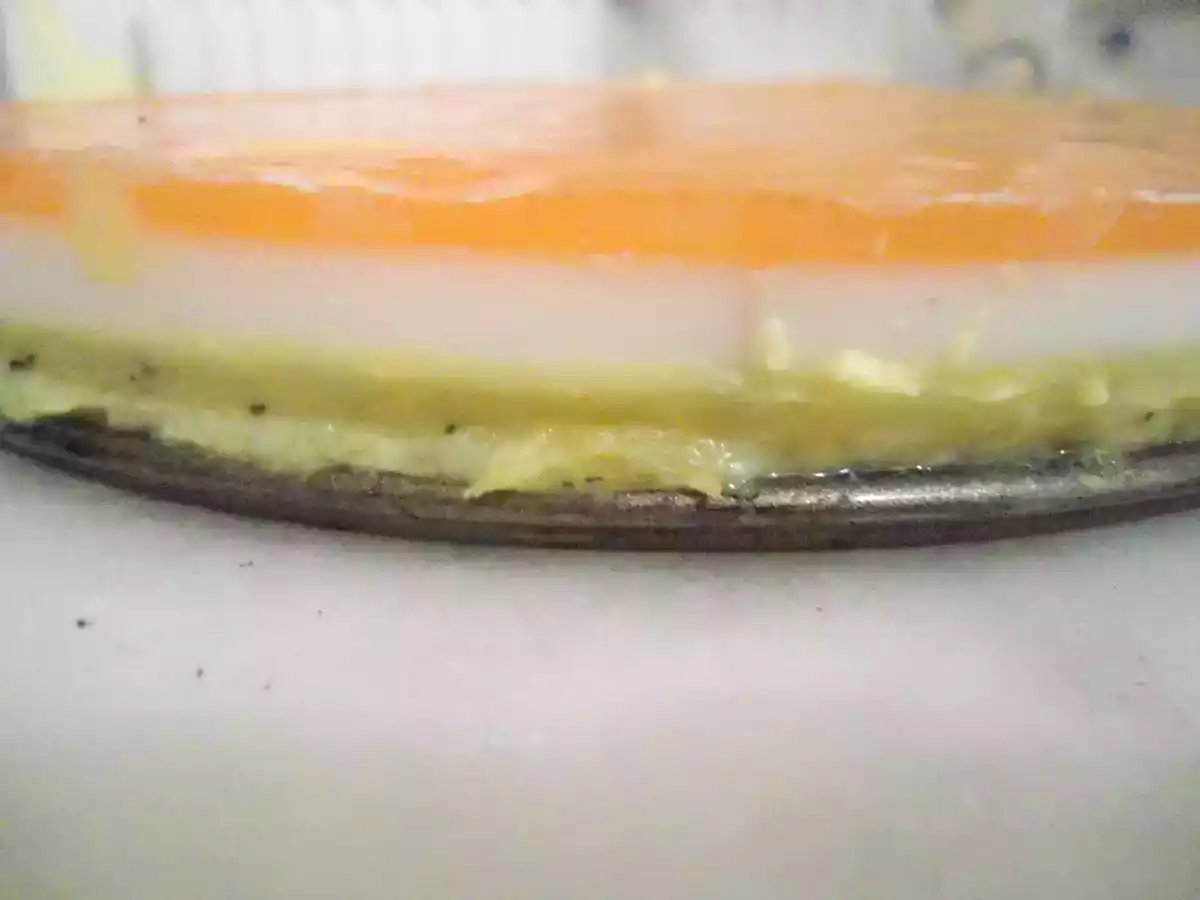 BAVAROIS MANGUE-COCO - photo 2
