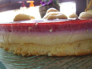 Bavarois Rose Litchi Framboise Recette Ptitchef