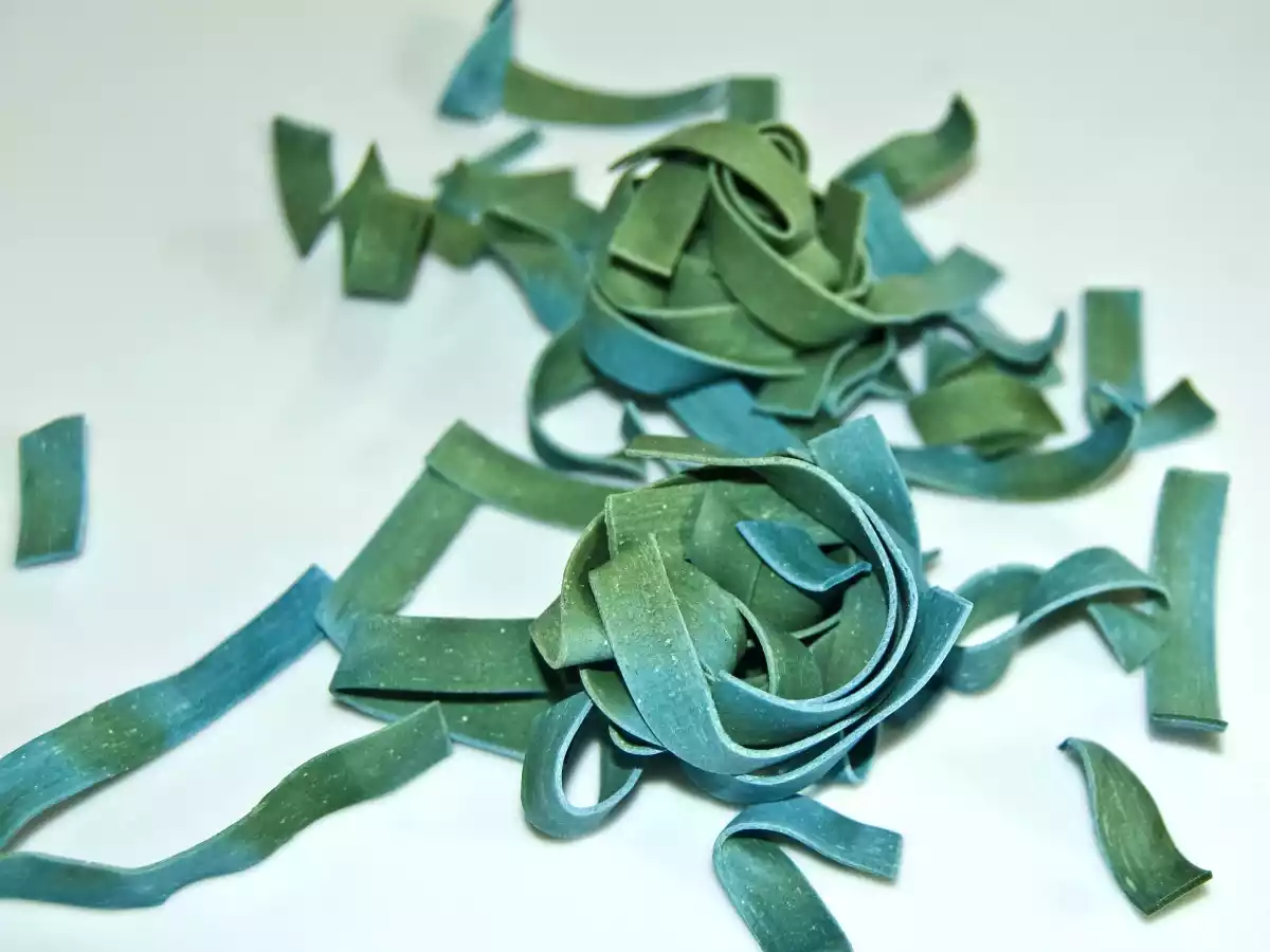 bébés poulpes à la péruvienne, pâtes à la spiruline - photo 2