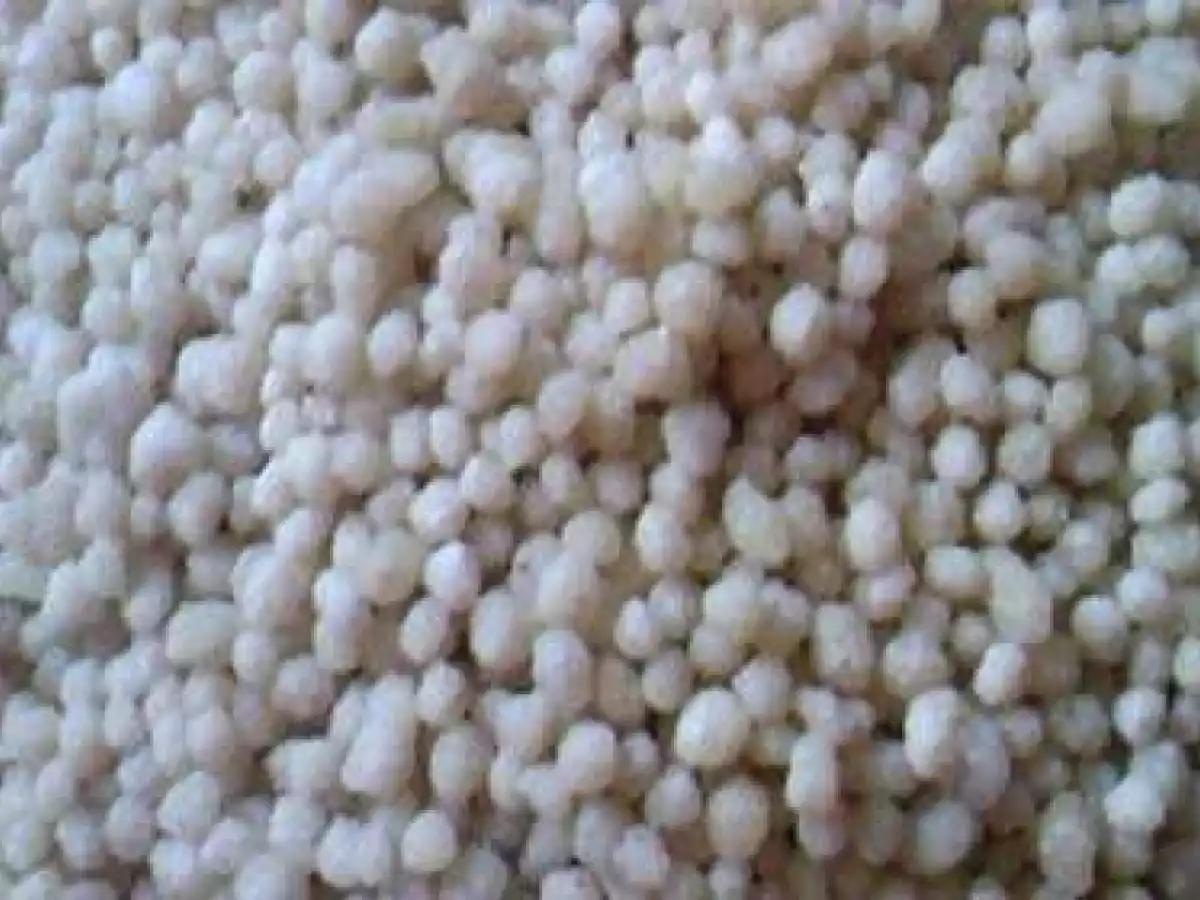 berkoukés - photo 3