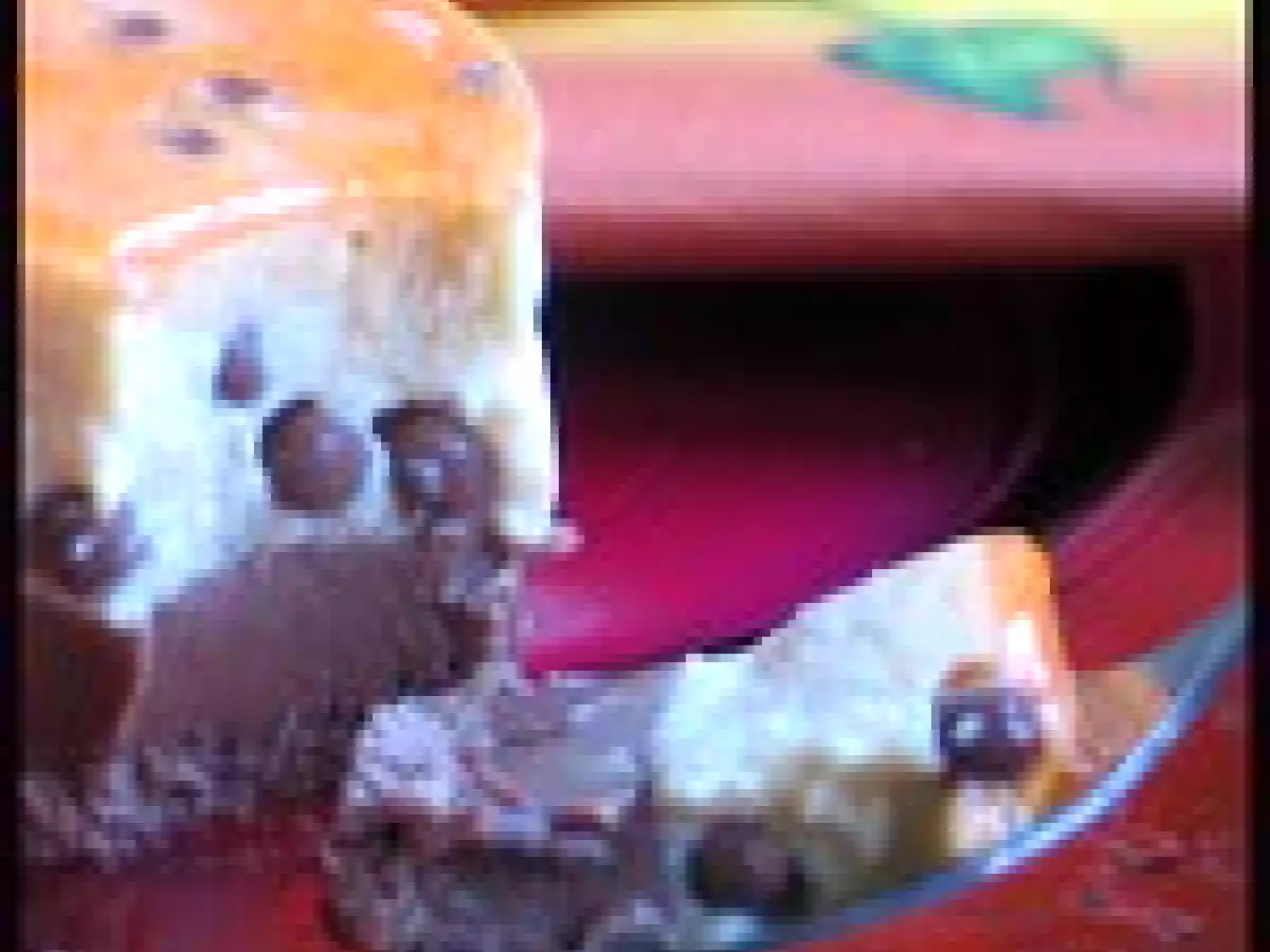 Biscuit cuillère mousse mandarine et crémeux gianduja - photo 3