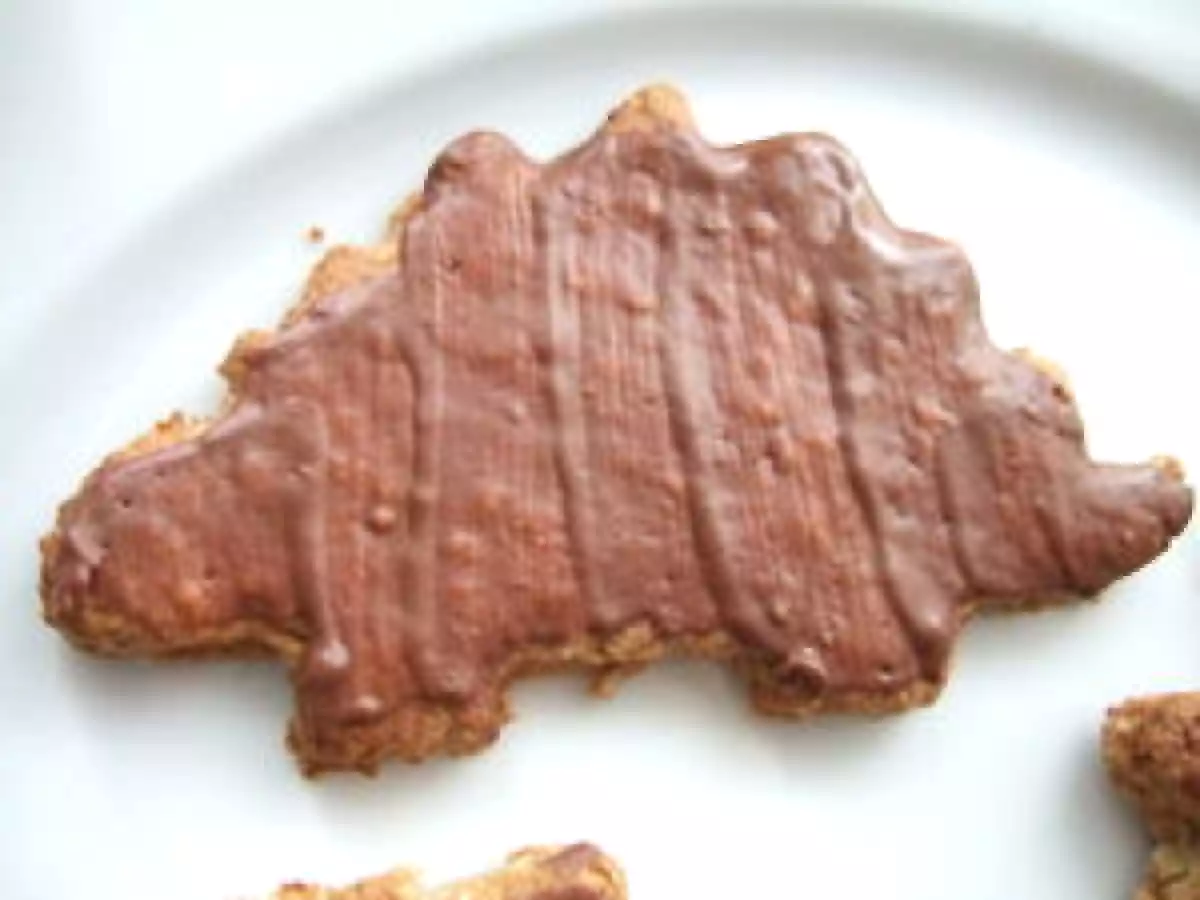 Biscuits 5 céréales jurassiquement bons ! - photo 2