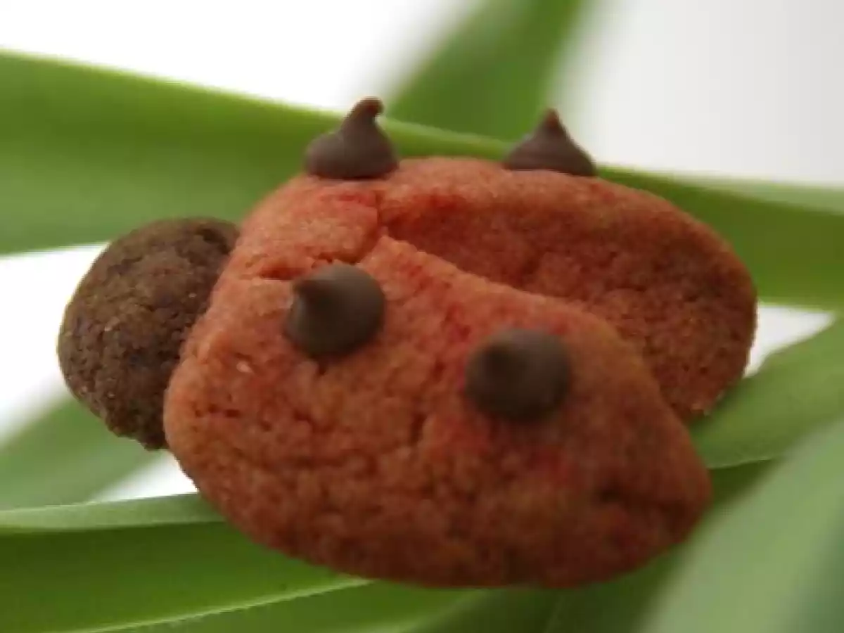 Biscuits coccinelles.