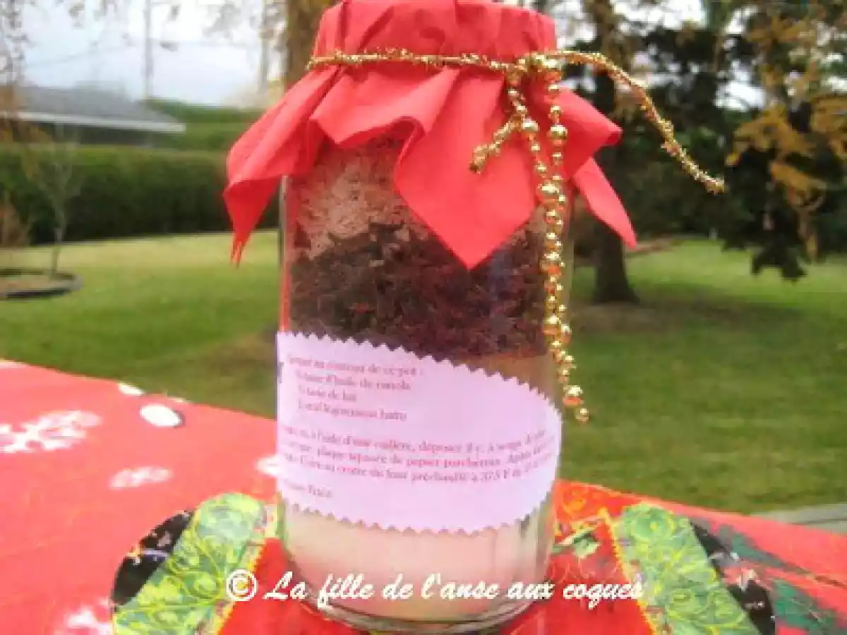 BISCUITS EN POT (AUX FLOCONS D'AVOINE ET BRISURES DE CHOCOLAT)