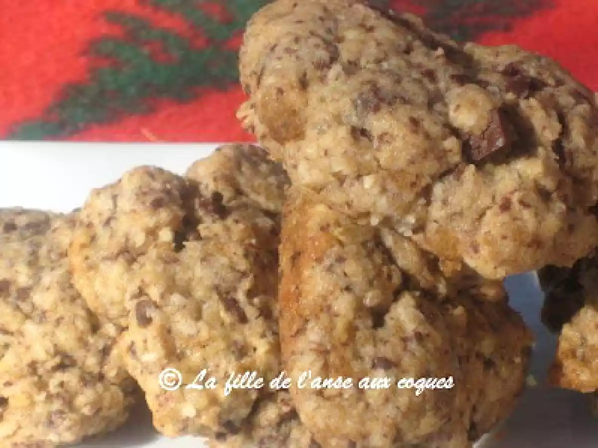 BISCUITS EN POT (AUX FLOCONS D'AVOINE ET BRISURES DE CHOCOLAT) - photo 2