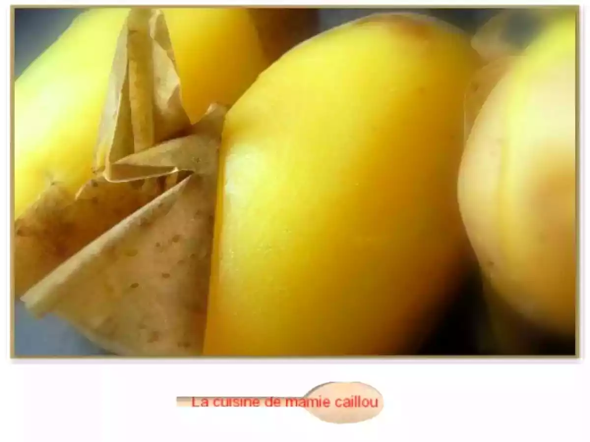 Boeuf en daube, aux pruneaux et aux champignons des bois.