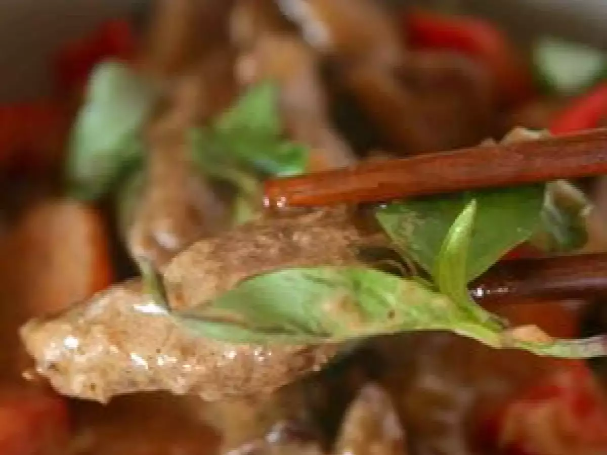 Boeuf piquant au lait de coco (Thaïlande) - photo 2