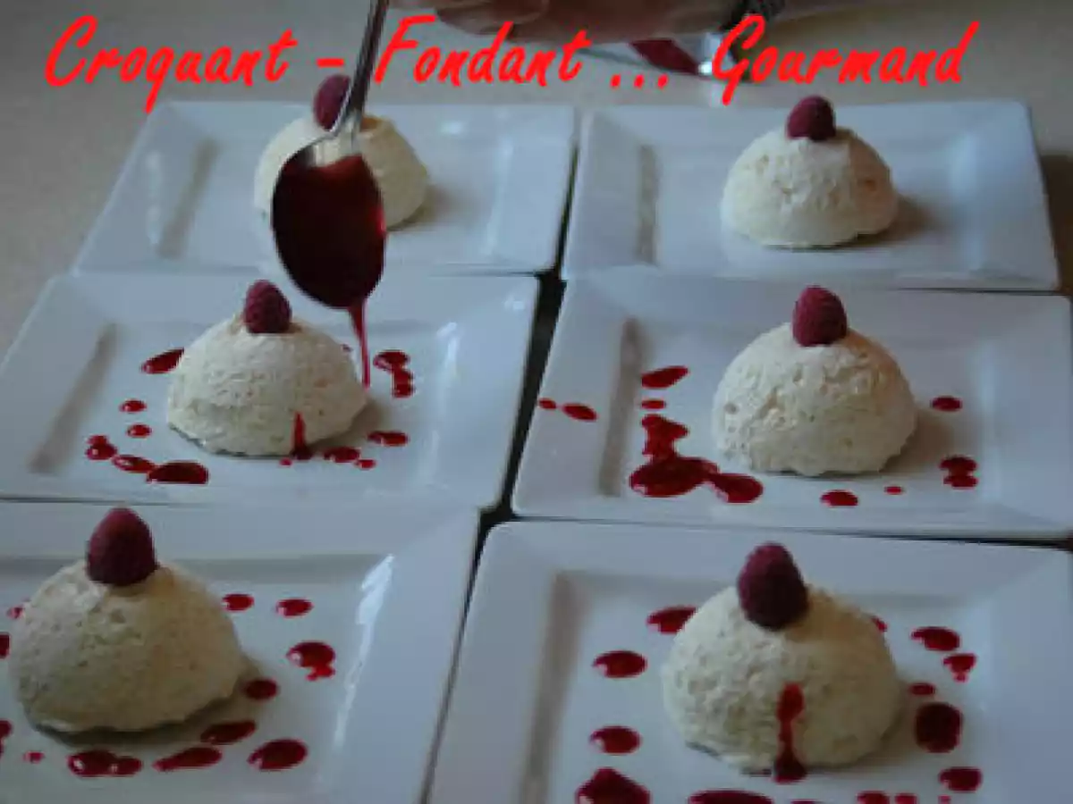 BOMBE GLACÉE MERINGUÉE - photo 3