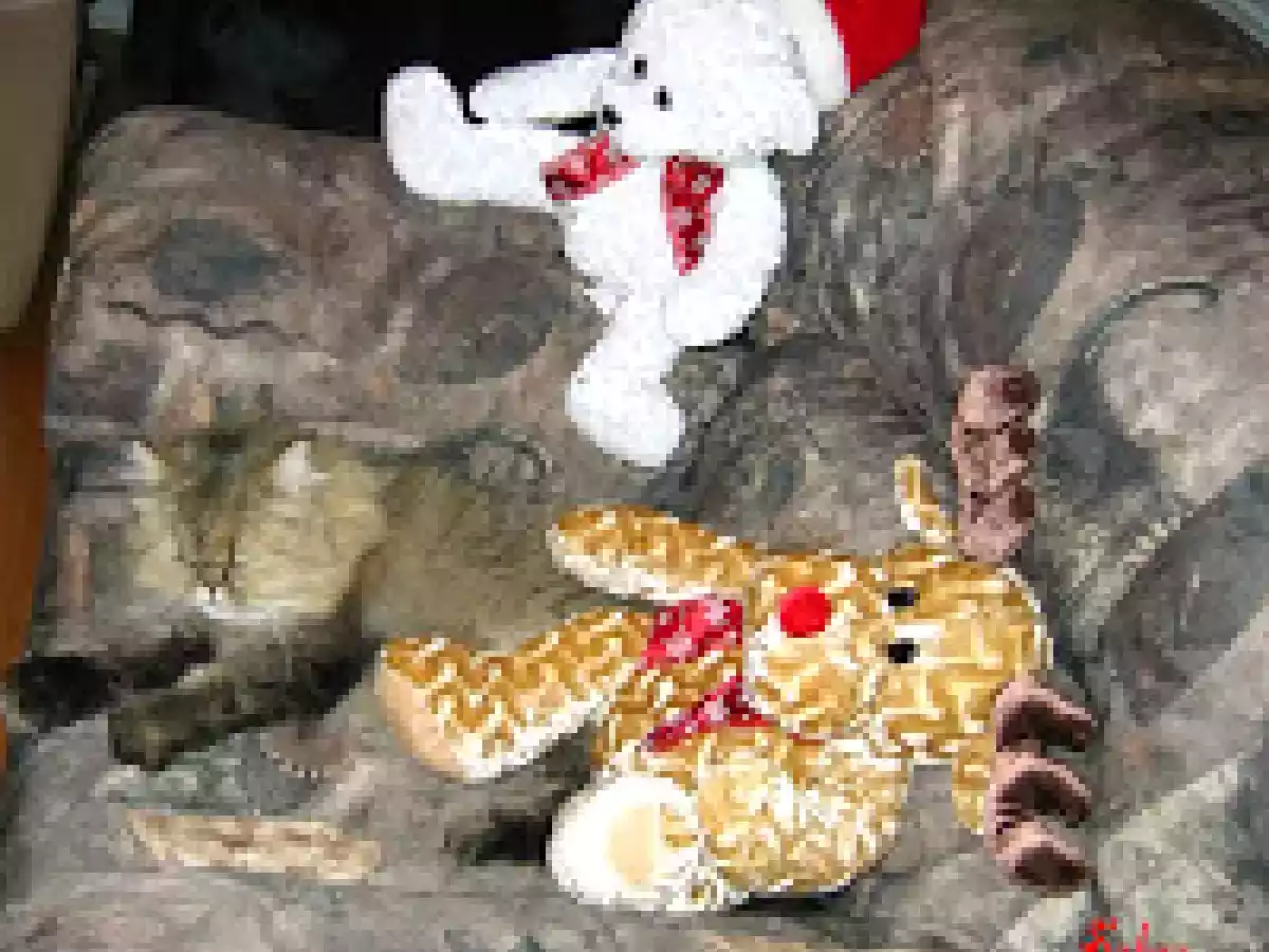 Bonbons et Suçons au sucre d'Orge pour Noël !! - photo 2