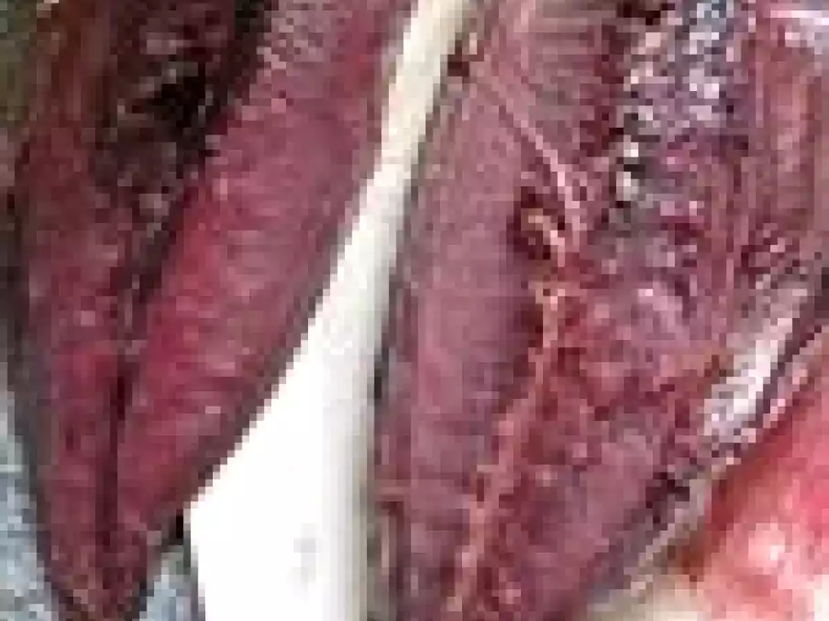 Bonite de Méditerranée à la Plancha - photo 8