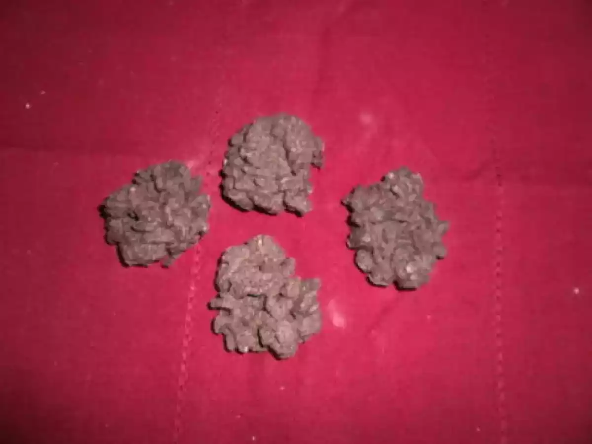 Bouchées chocolat et rice Krispies