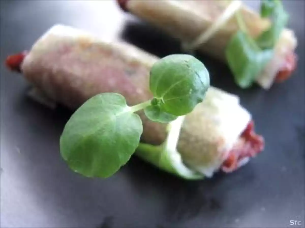 Bouchées de brick, tomates séchées, Parme & pesto maison - photo 3