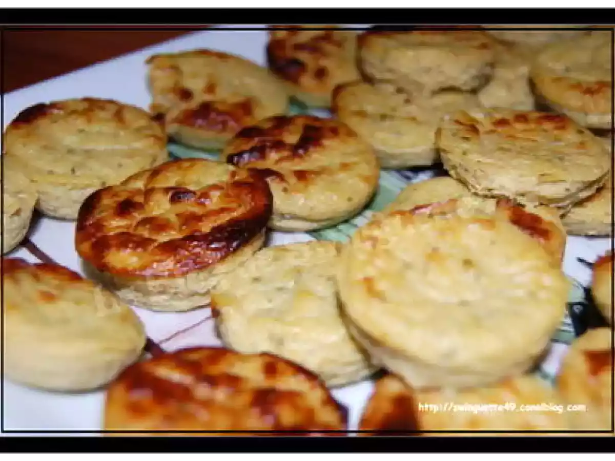BOUCHONS COURGETTES/THON et BOUCHEES KNACKI (Assiette Apéro suite et fin) - photo 3