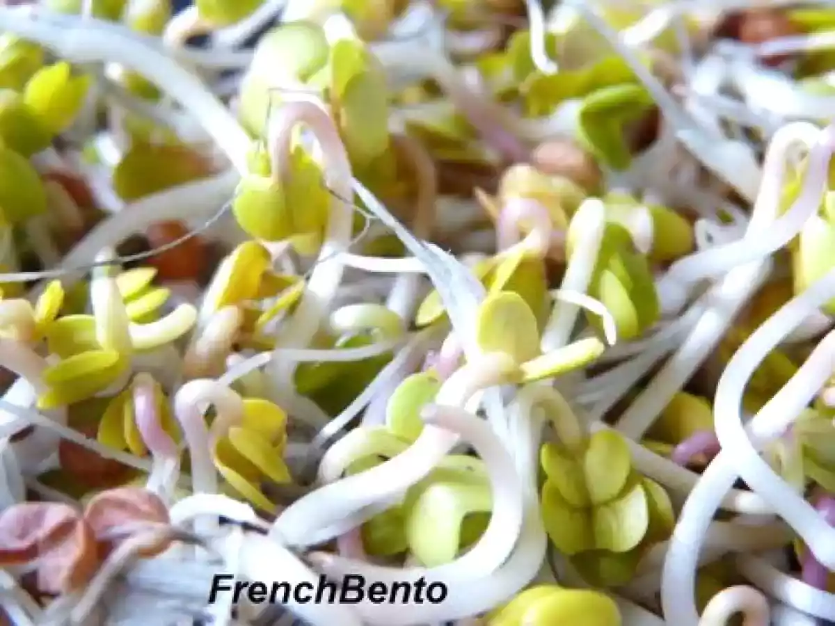 Boudin blanc aux morilles et champignons de Paris