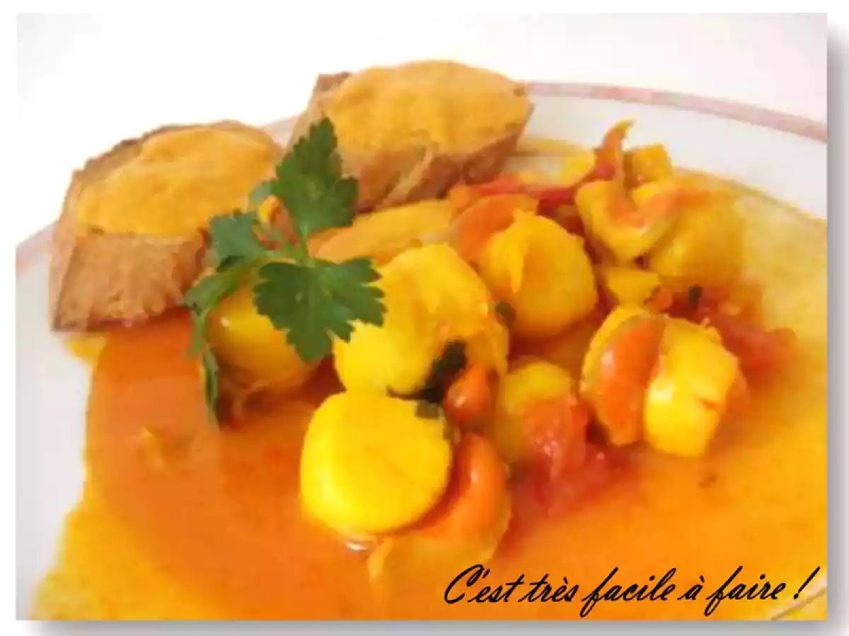 BOUILLABAISSE DE SAINT JACQUES - photo 2