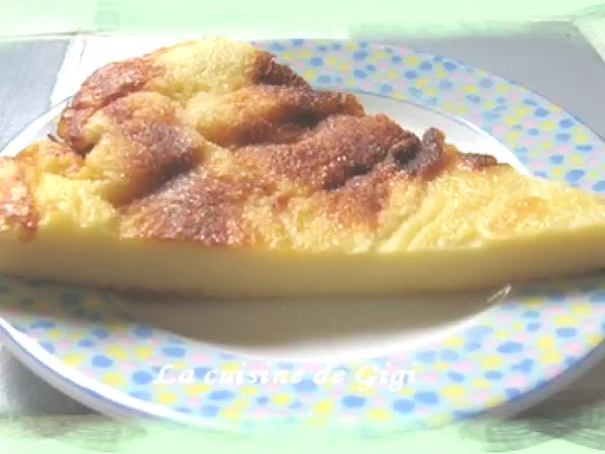 Boulaigou limousin - photo 3