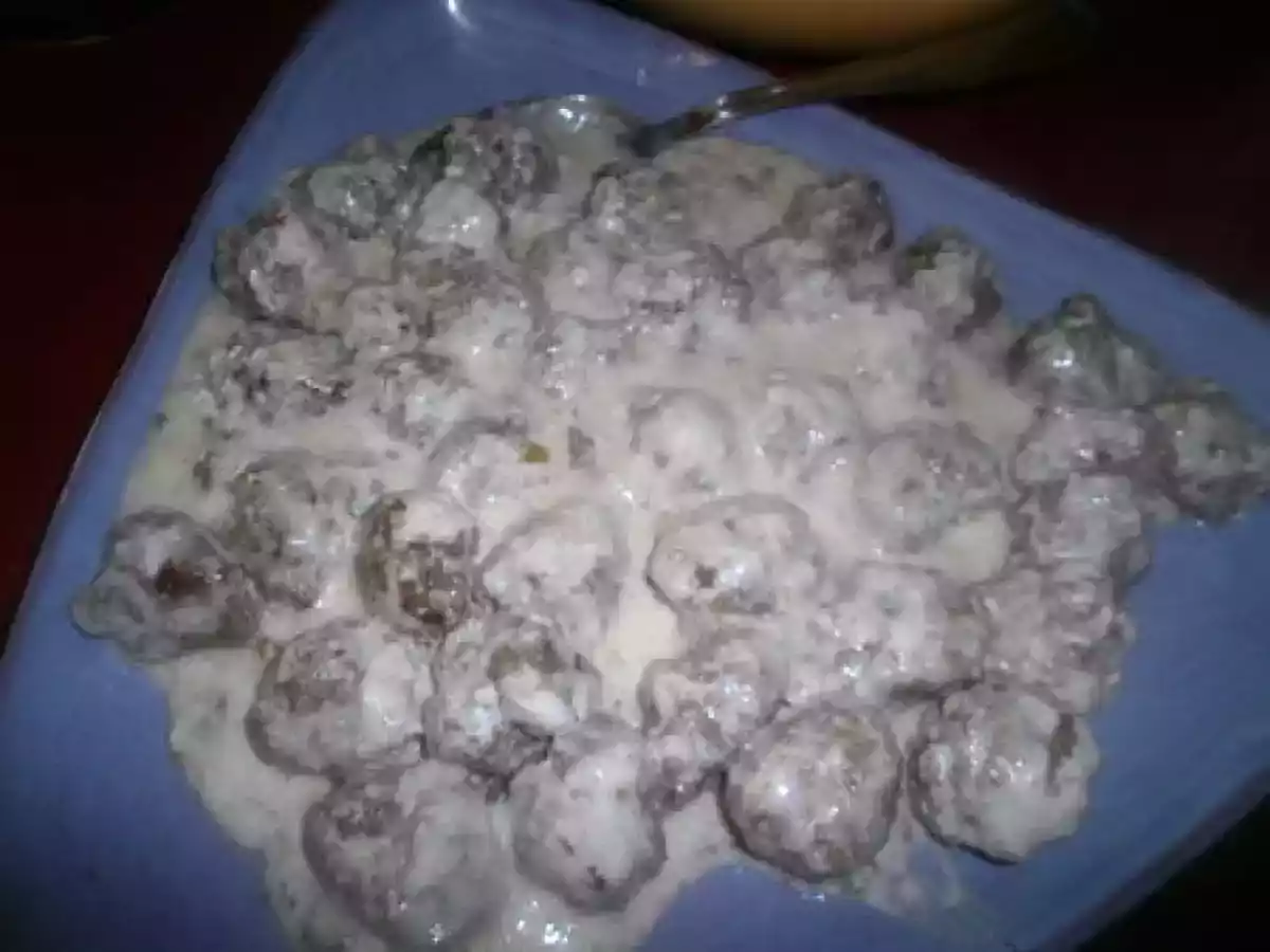 Boulettes de boeuf au yaourt