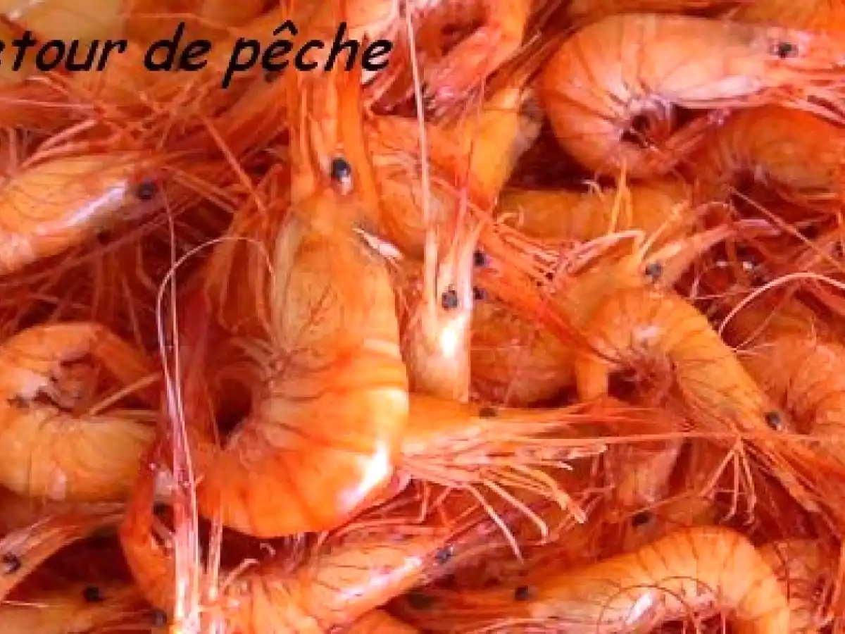 BOUQUET DE CREVETTES ROSES - photo 2