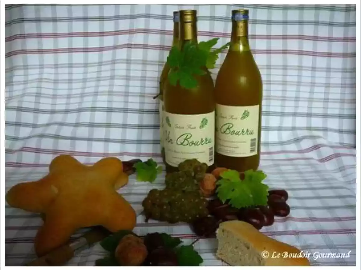 Bourru (vin nouveau) fait maison