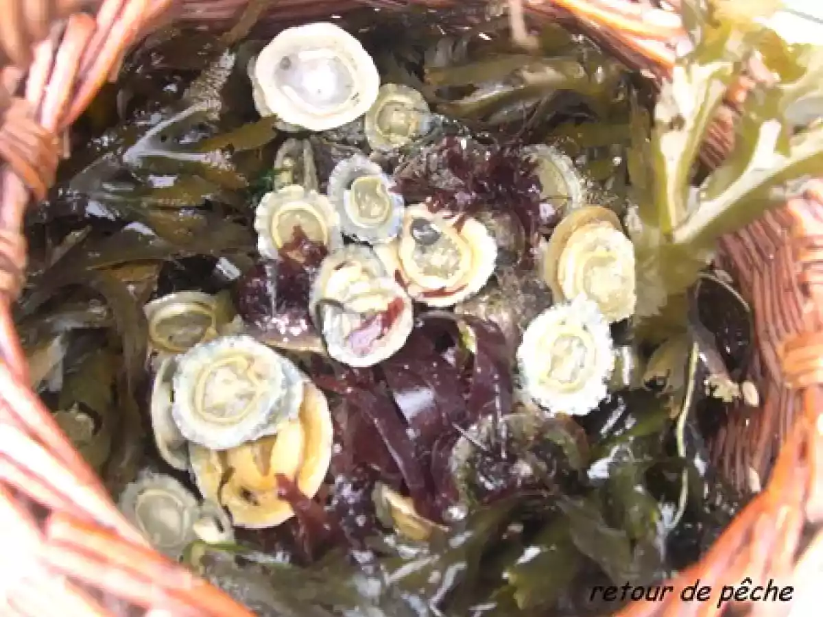 BRENIQUE, BRENNIG, BERNIQUE...