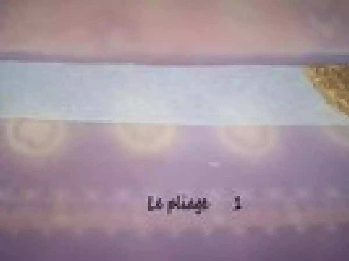 BRICK A L'AMANDE ET AU MIEL - photo 4