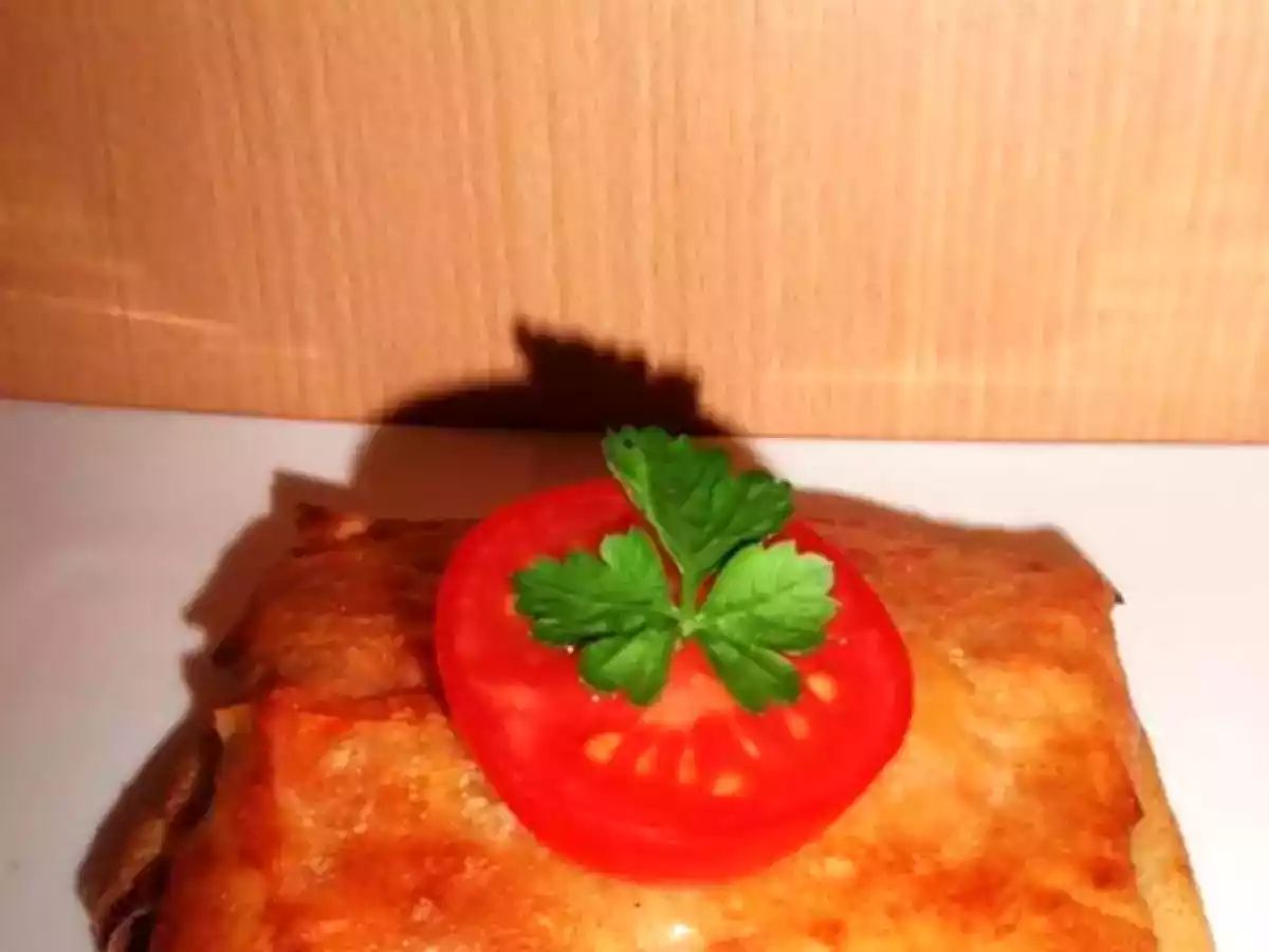 brick au thon et à la sauce tomate