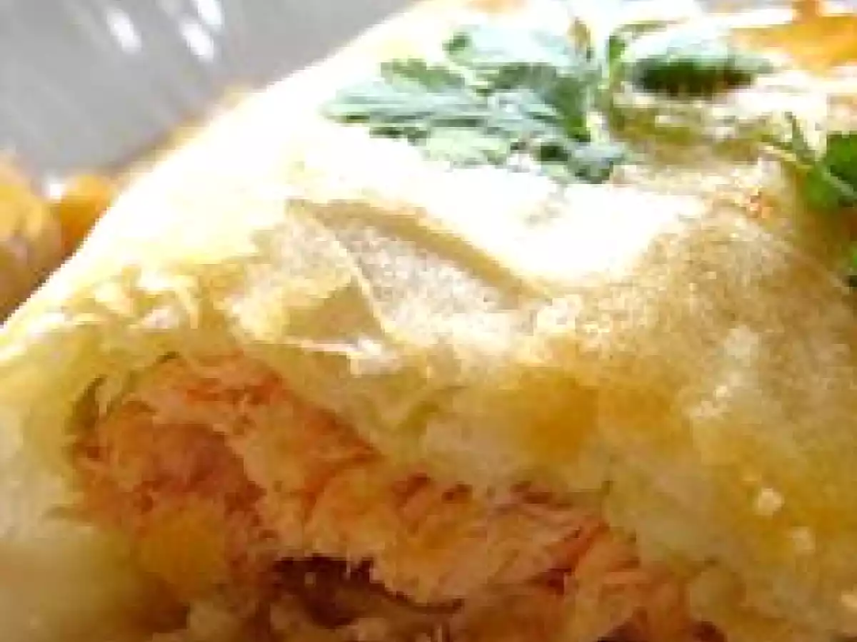 °brick, saumon & chou °