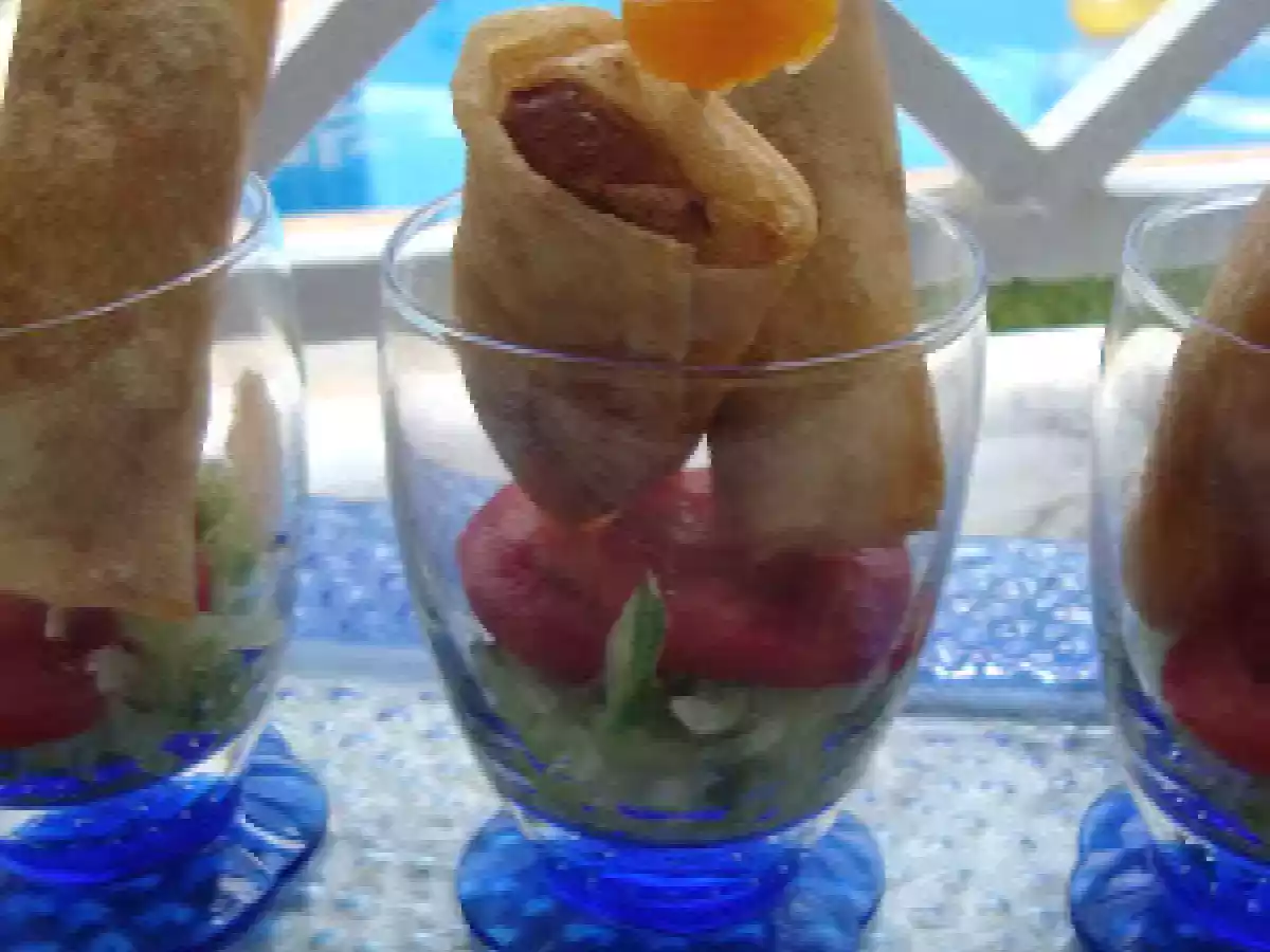 Bricks à la viande et aux abricots secs