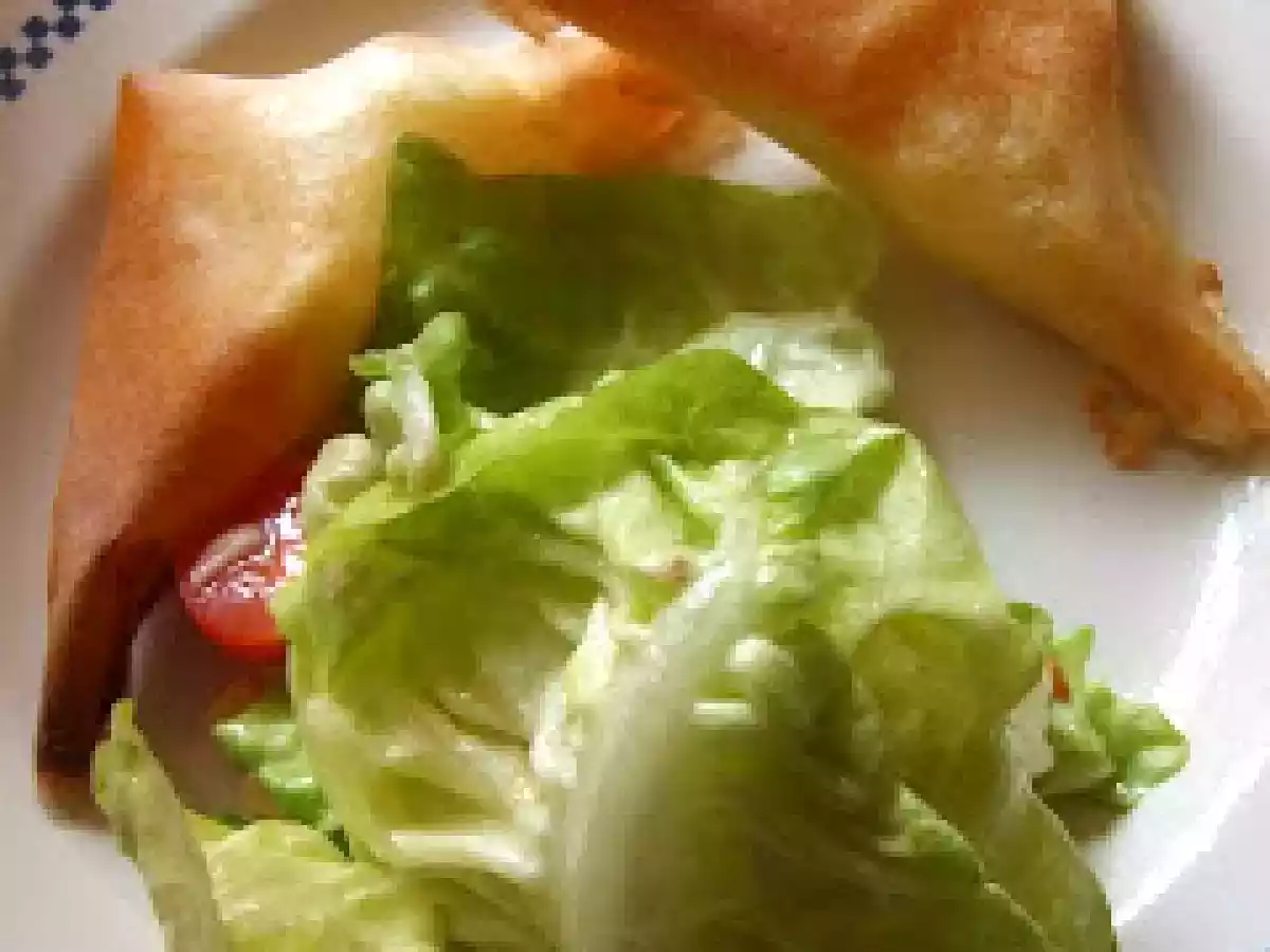 Bricks au jambon blanc et camembert, on en fait tout un plat ou pas. - photo 2