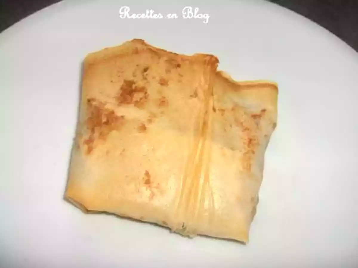 BRICKS AUX POIREAUX ET AU THON - photo 2