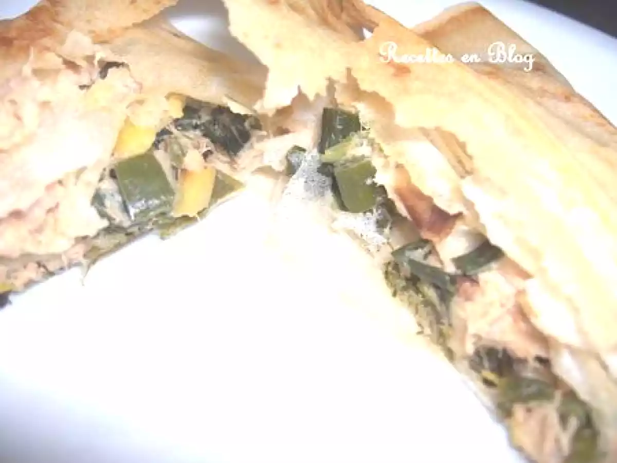 BRICKS AUX POIREAUX ET AU THON - photo 3