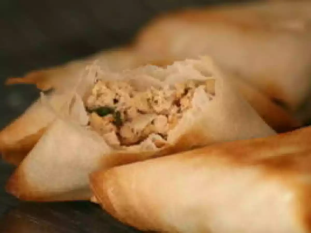 Bricks aux thons (light en plus!)