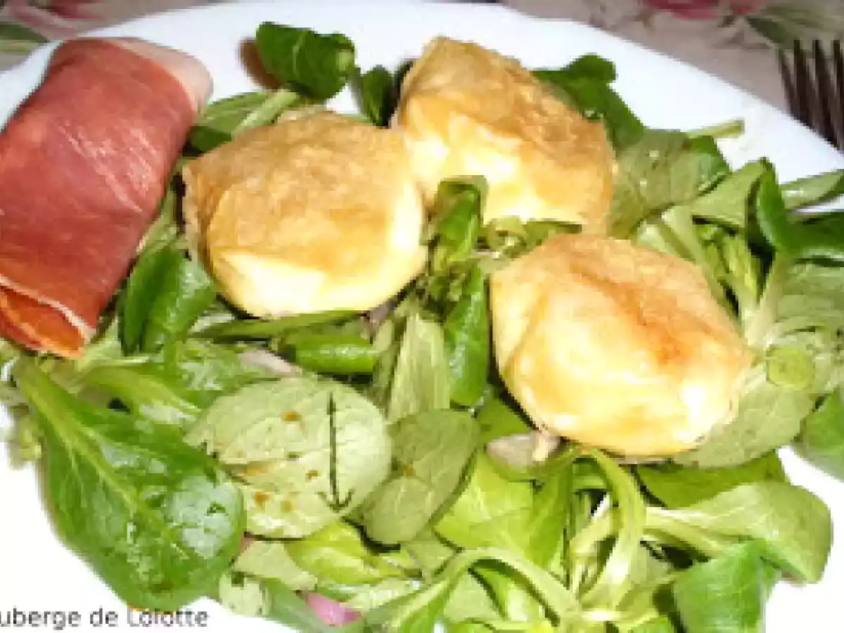 Bricks chevre/oignons caramelisés