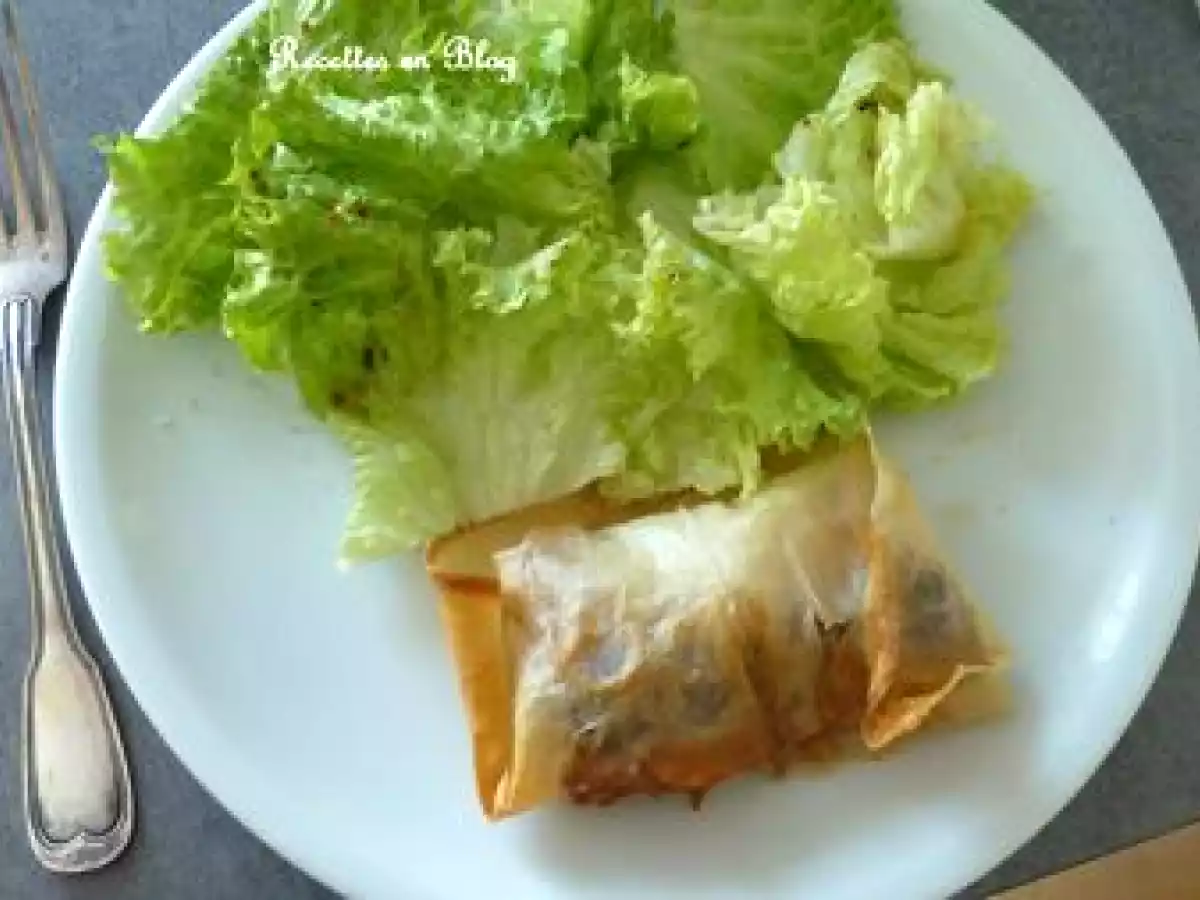 BRICKS D'AUBERGINE CHÈVRE SAUMON FUME - photo 3