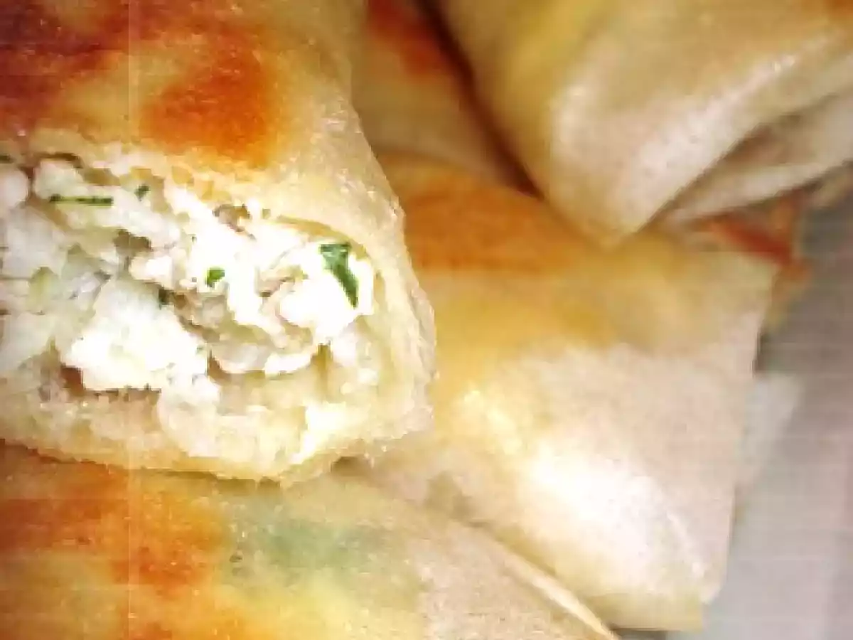 Bricks farcis au poulet et au fenouil