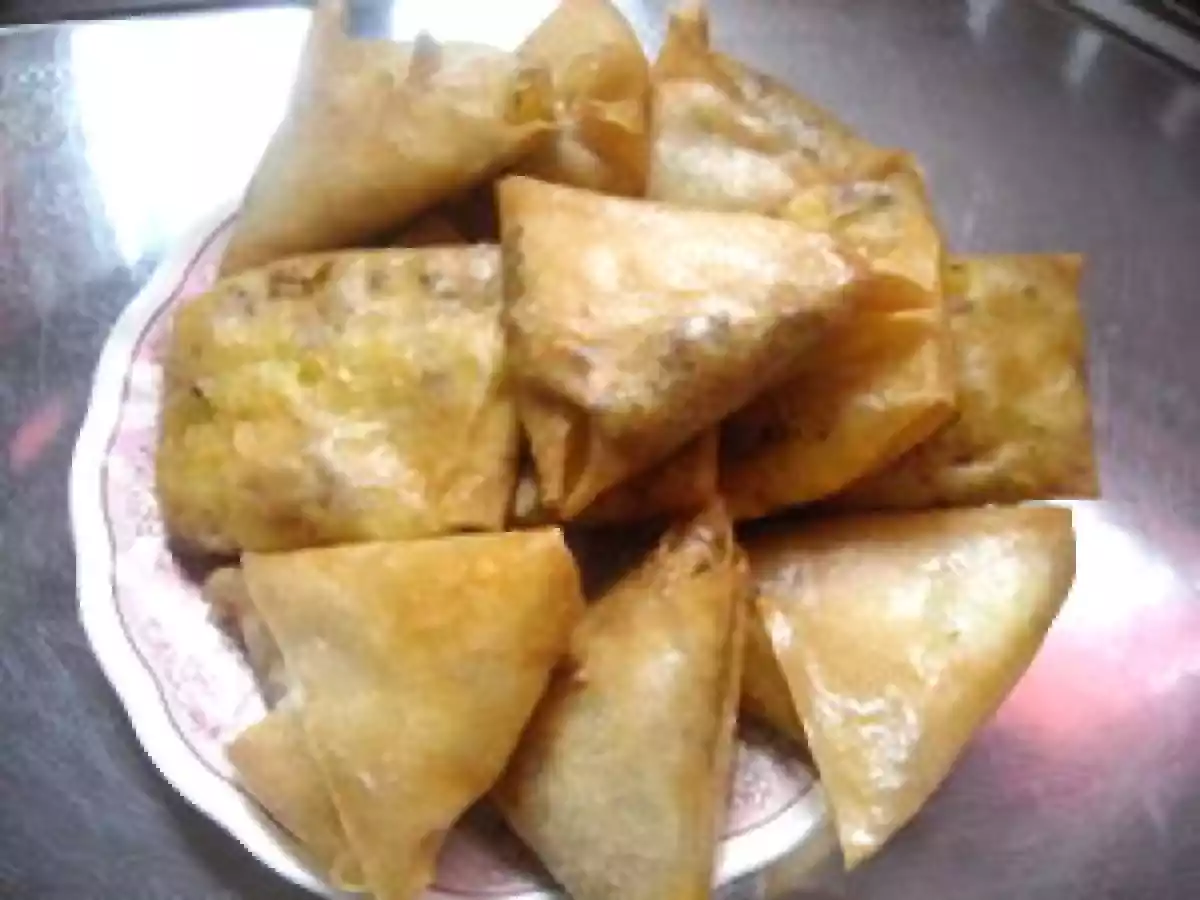 BRICKS POMMES DE TERRE ET VIANDE HACHEE