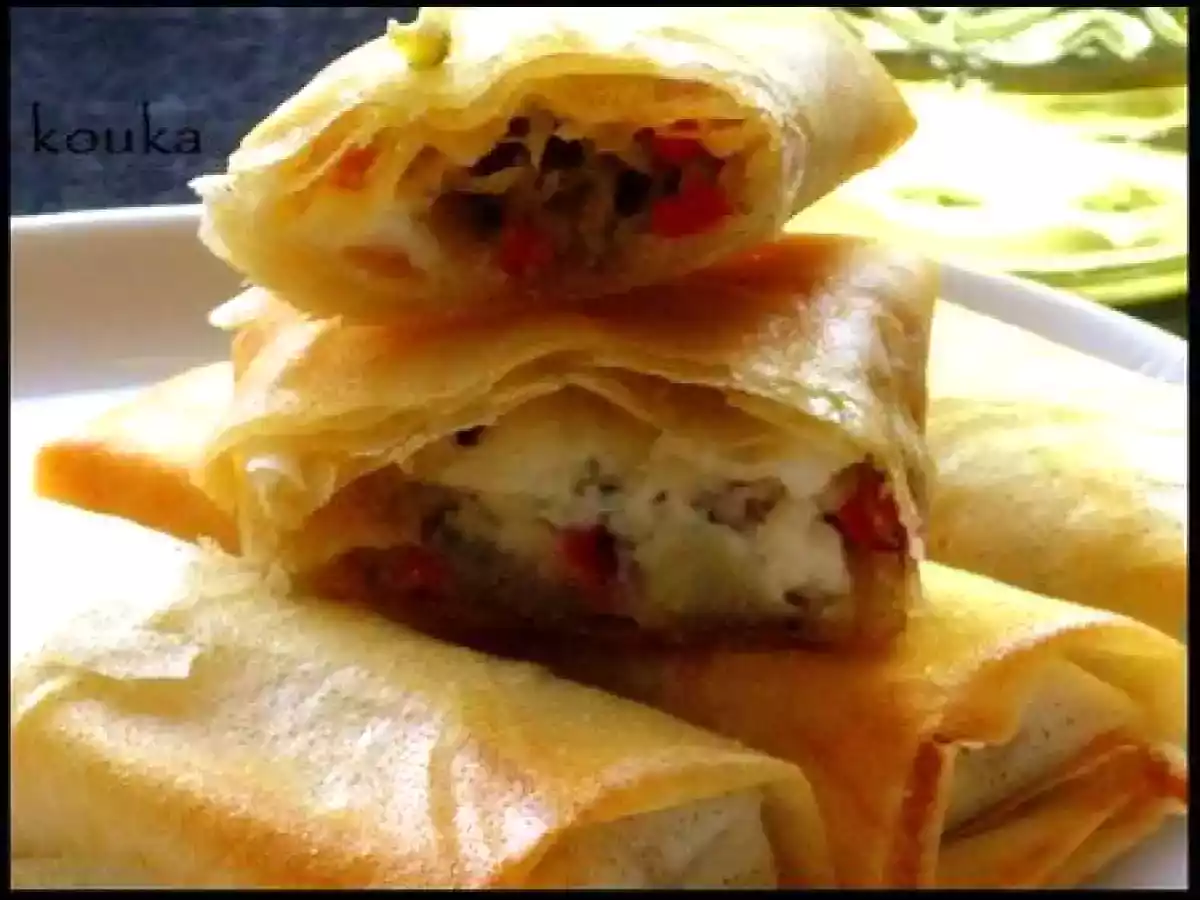 Bricks végétariennes