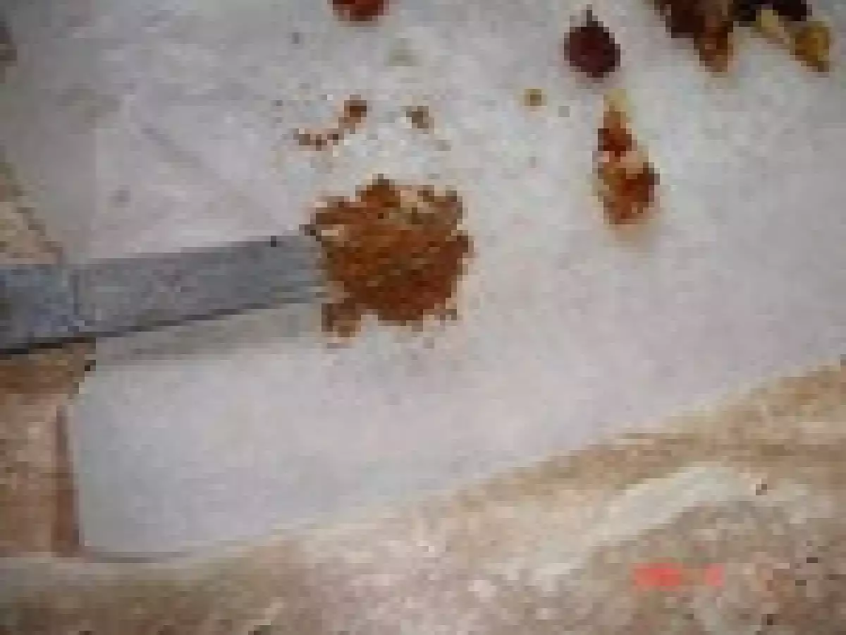 Brie farçi aux dates, raisins secs et noix - photo 3