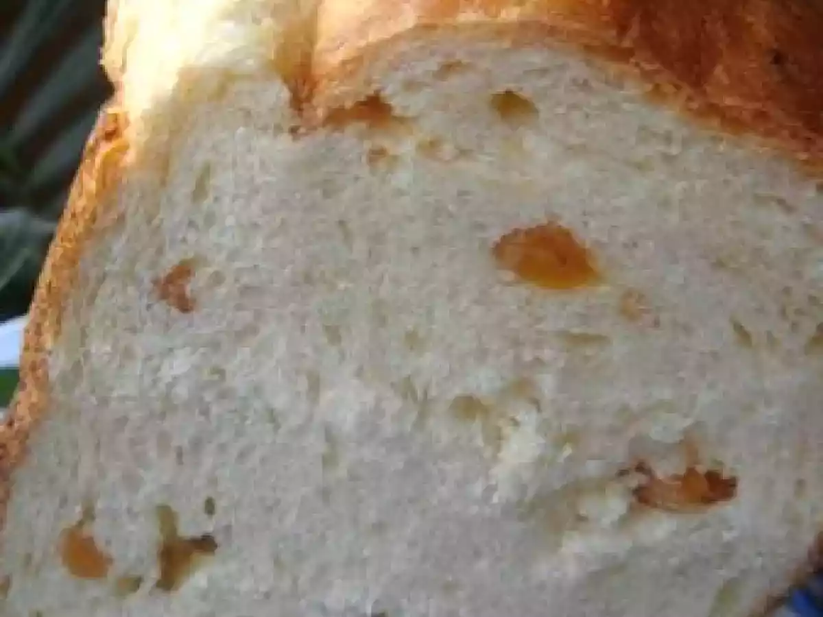 Brioche au yaourt et aux raisins blonds en MAP