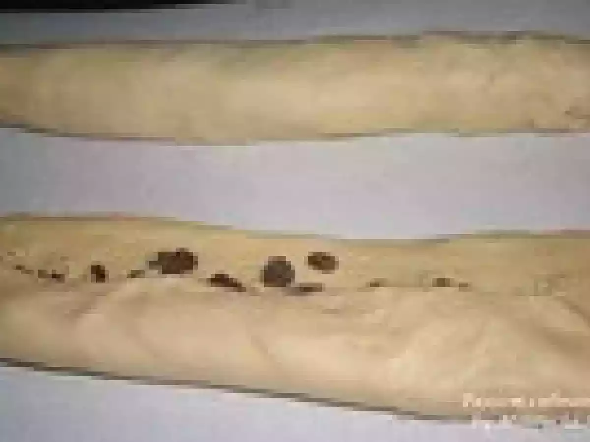 Brioche torsadée aux raisins secs et amandes - photo 6