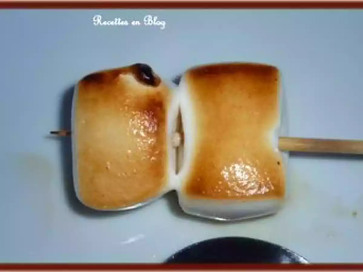 BROCHETTES DE CHAMALLOWS DORES AU BARBECUE