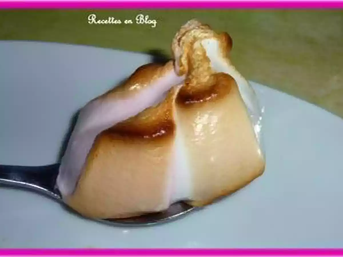 BROCHETTES DE CHAMALLOWS DORES AU BARBECUE - photo 2