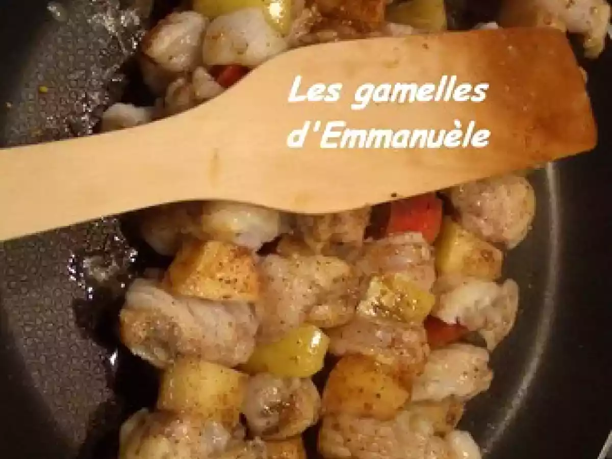 Brochettes de pommes et lotte aux épices