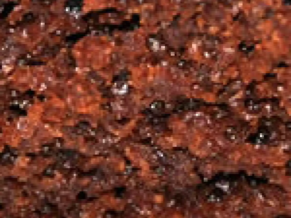 Brownie à la compote