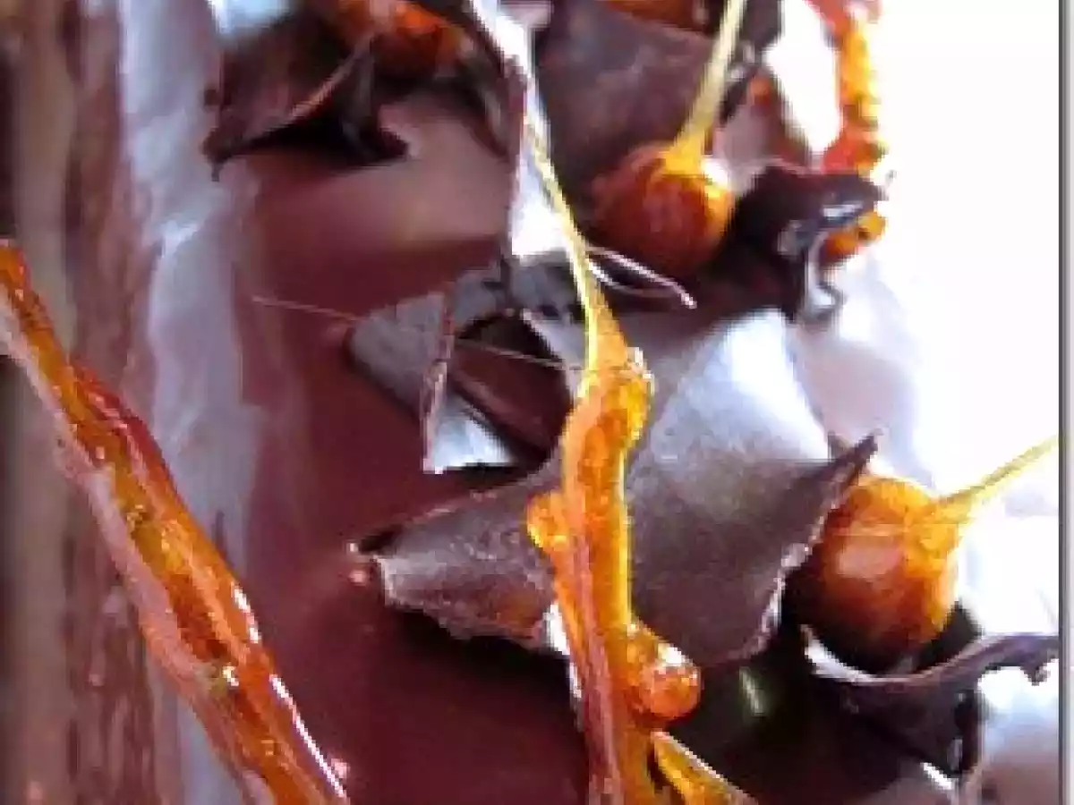 Bûche 2 chocolats et caramel au beurre salé... - photo 10