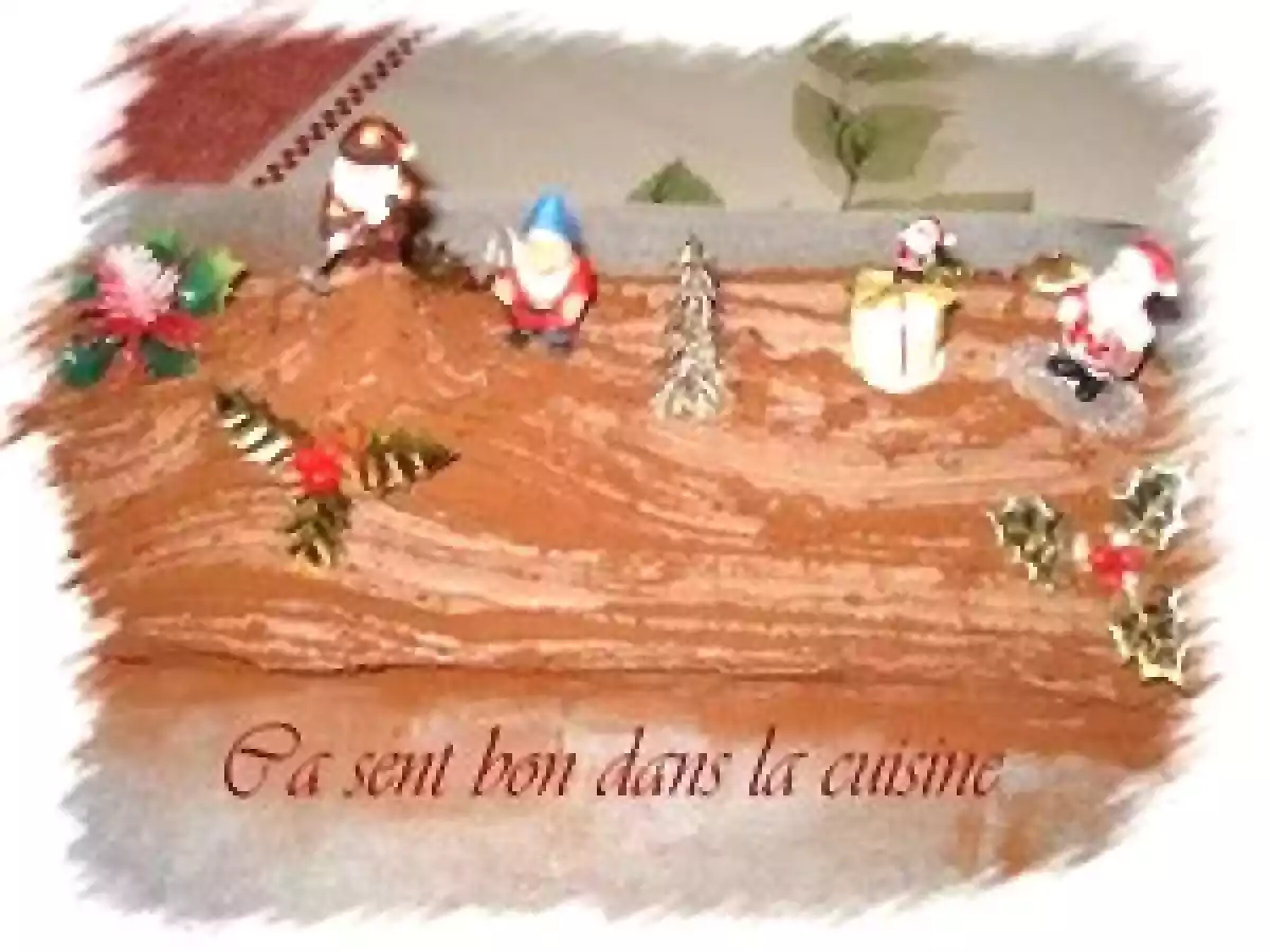 Bûche au cacao simplissime, Thermomix